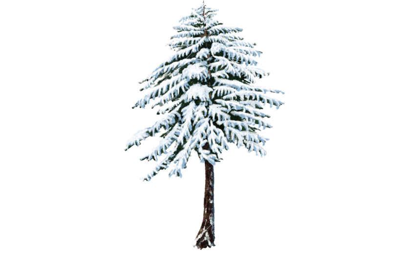 传统节气小雪大雪冬天冬日中国风插画积雪植物