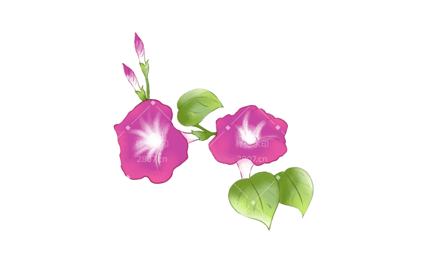 元素小清新喇叭花插画元素