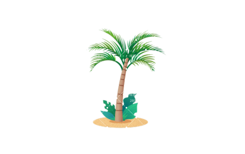 立夏植物椰树元素