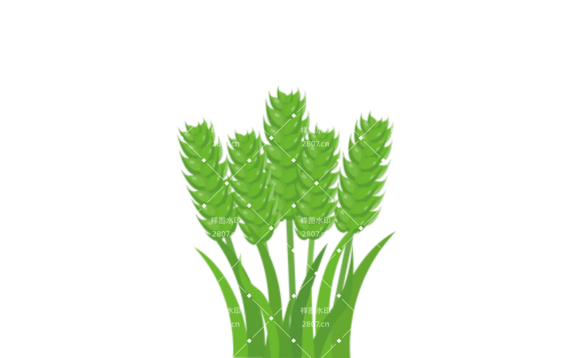 绿色小麦麦穗矢量元素