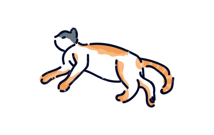 高质量人物插画-猫咪