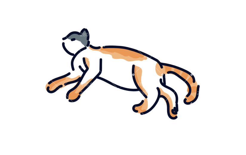 高质量人物插画-猫