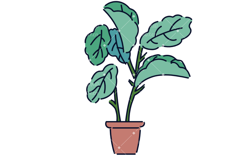 高质量人物插画-植物
