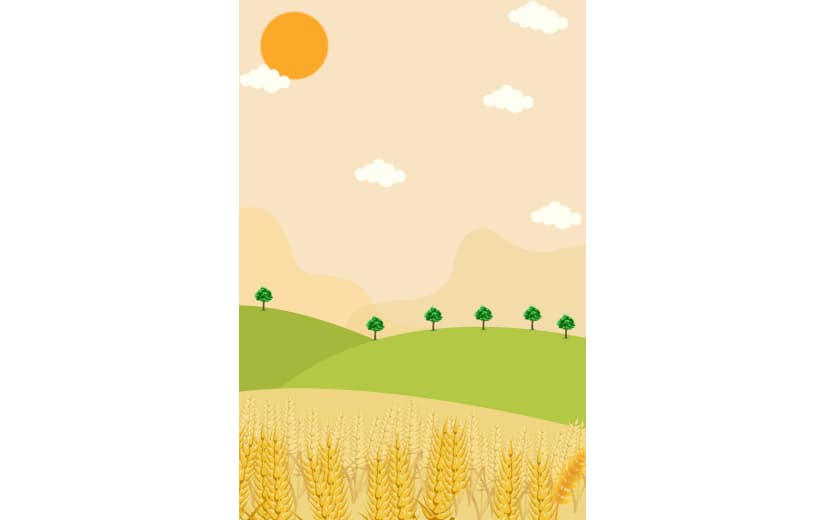 手绘芒种节气麦穗背景