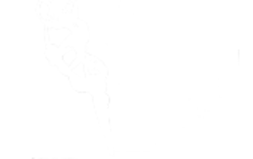 半透明烟雾效果矢量素材