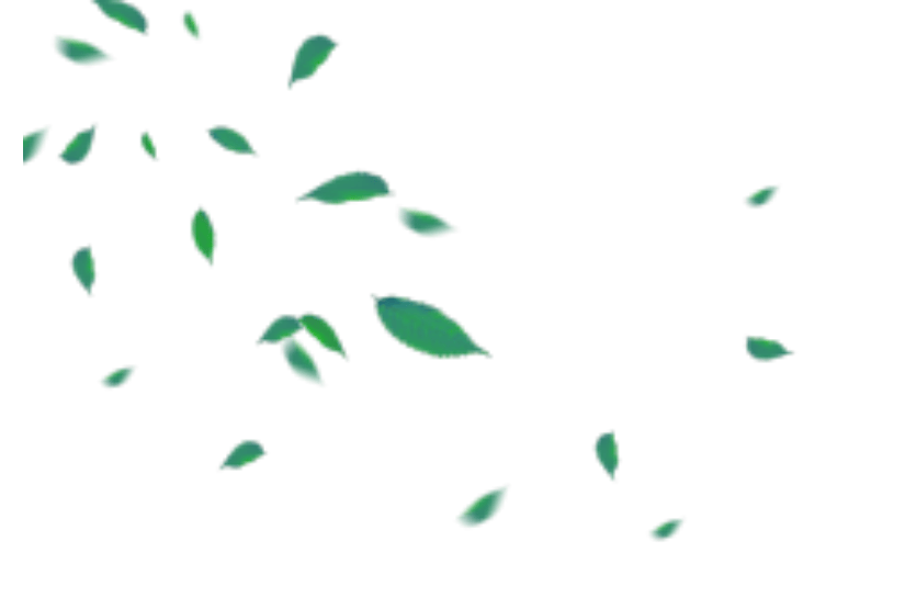 夏季落叶绿色装饰漂浮元素