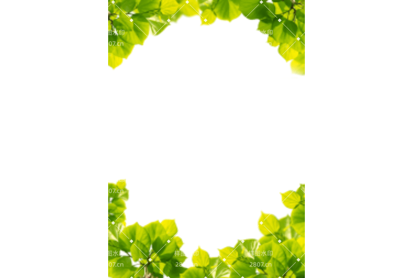 春天青团嫩叶装饰元素