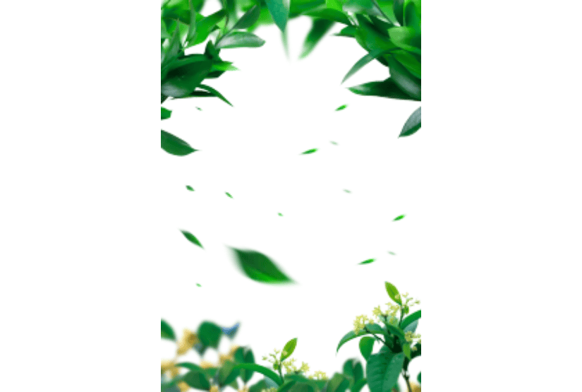 立春｜雨水元素 | 装饰素材 立春素材