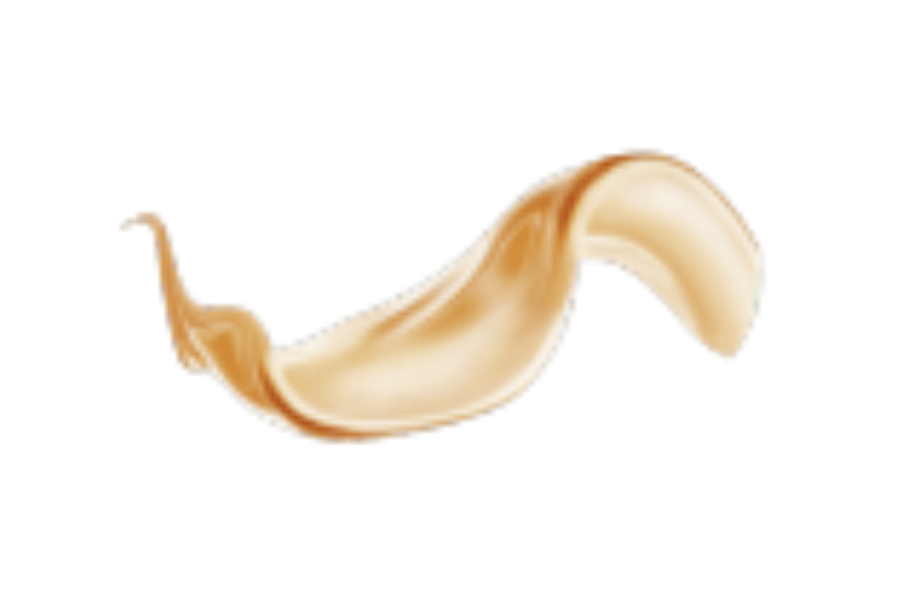 欧美丝带装饰素材