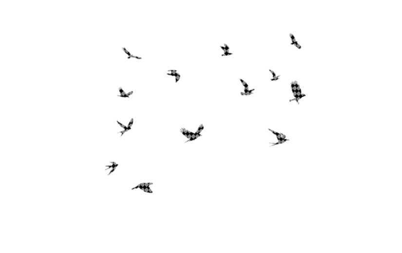 飞鸟剪影