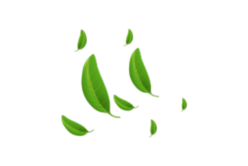 清凉微风叶子设计元素