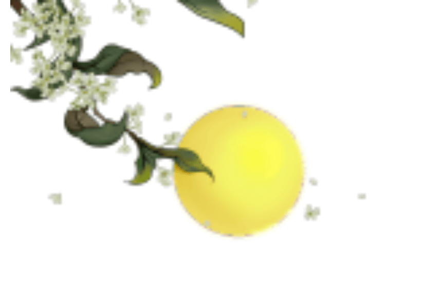 手绘桂花月夜中秋节装饰图案