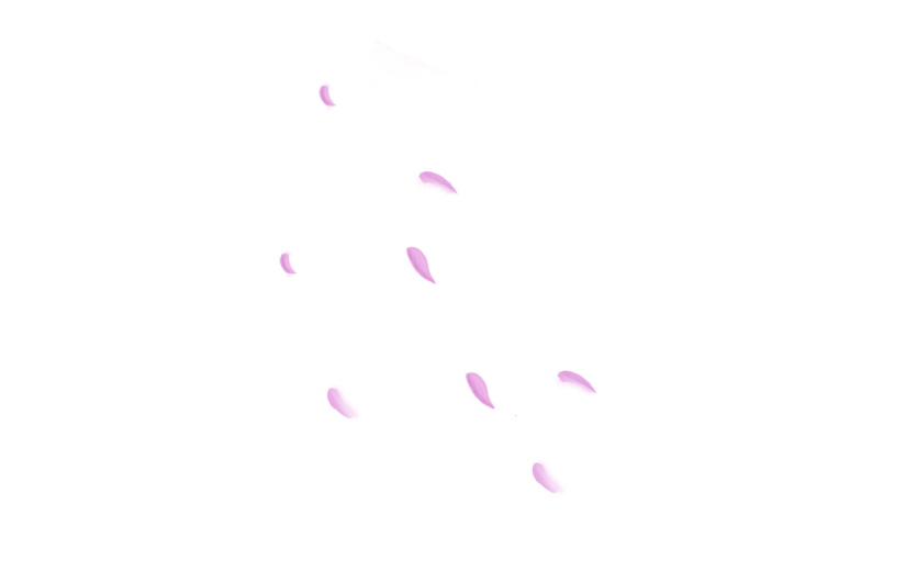 元素简约花瓣插画元素