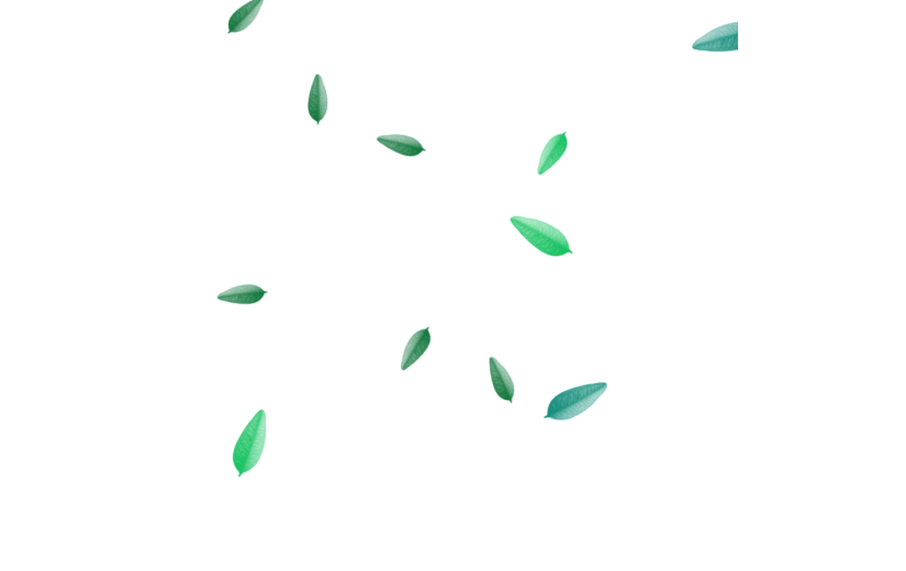 元素绿色树叶漂浮