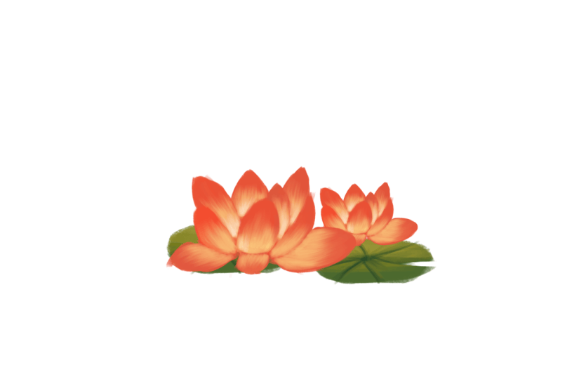 素材中元节荷花灯