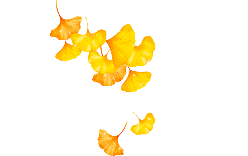 立秋通用金色落叶枫叶银杏叶植物贴纸元素素材