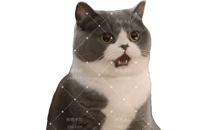 小红书meme搞怪爆款封面动物猫咪贴纸