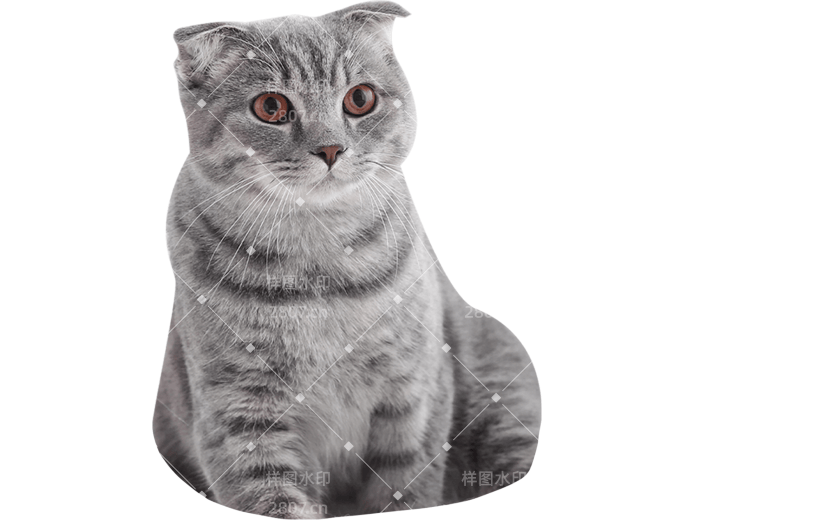 小红书猫咪狗狗动物爆款meme贴纸