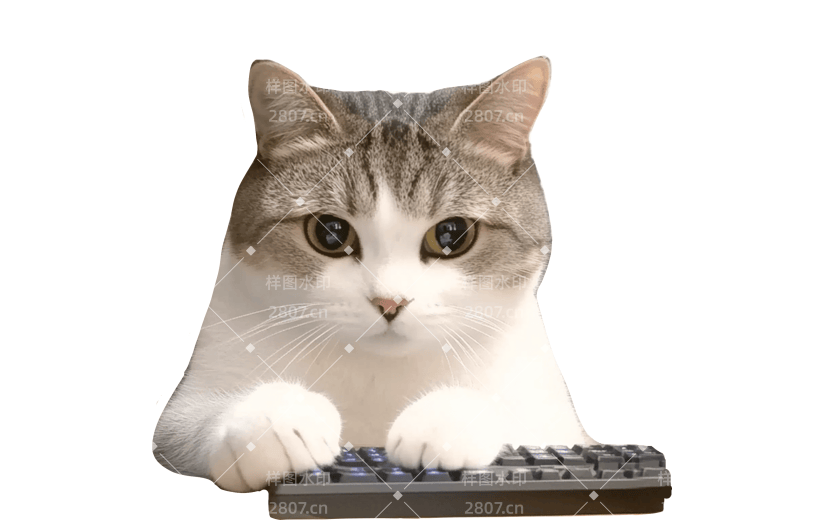 小红书猫咪狗狗动物爆款meme贴纸