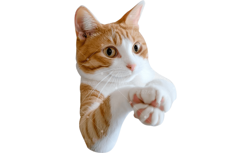 小红书meme搞怪爆款封面动物猫咪贴纸