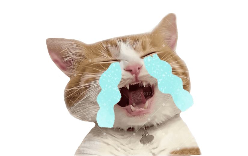 小红书meme搞怪爆款封面动物猫咪贴纸