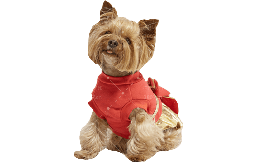 小红书猫咪狗狗动物爆款meme贴纸