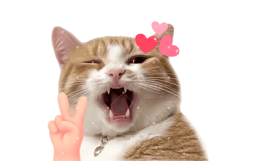 小红书meme搞怪爆款封面动物猫咪贴纸