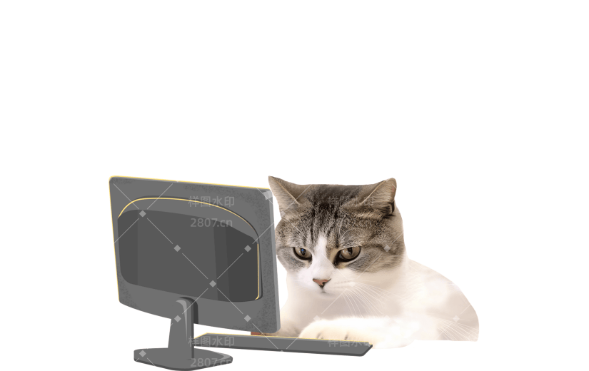 小红书猫咪狗狗动物爆款meme贴纸