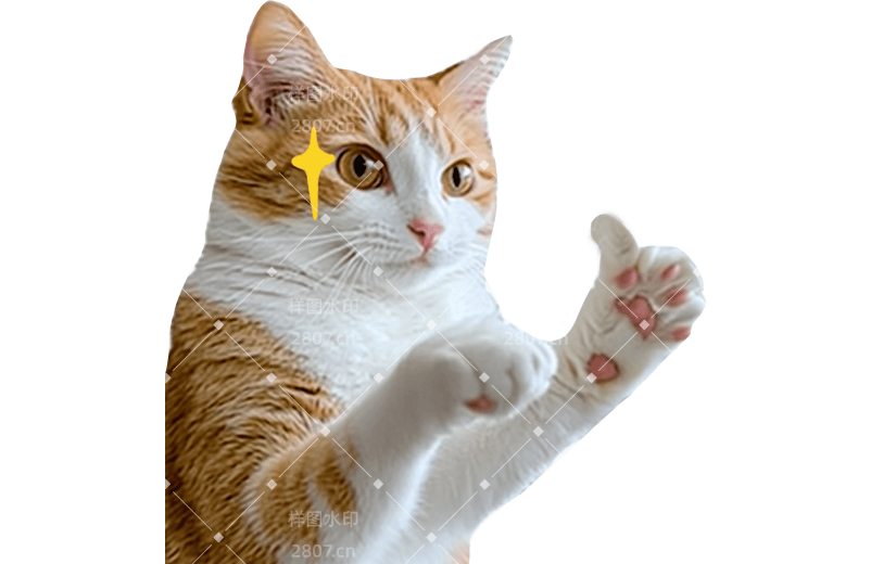 小红书猫咪狗狗动物爆款meme贴纸