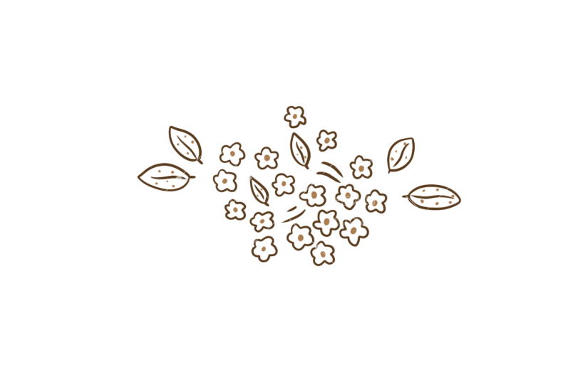 手绘花朵花卉植物线稿