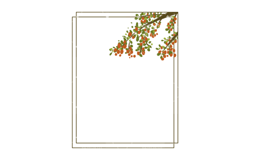 素材卡通树枝花卉边框