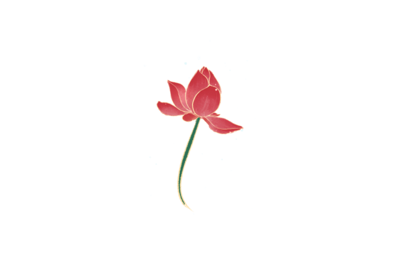元素处暑季节性植物荷花元素