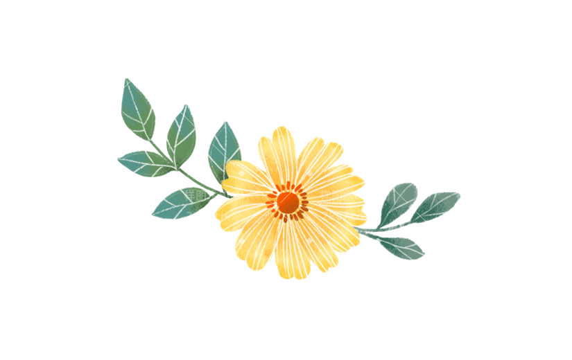 元素黄色水彩花卉透明素材可商用插画元素