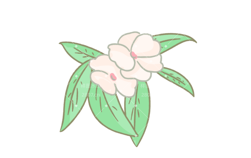 元素手绘卡通植物花卉凤仙