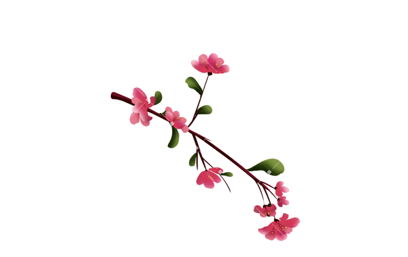元素手绘节气立冬植物梅花插画元素