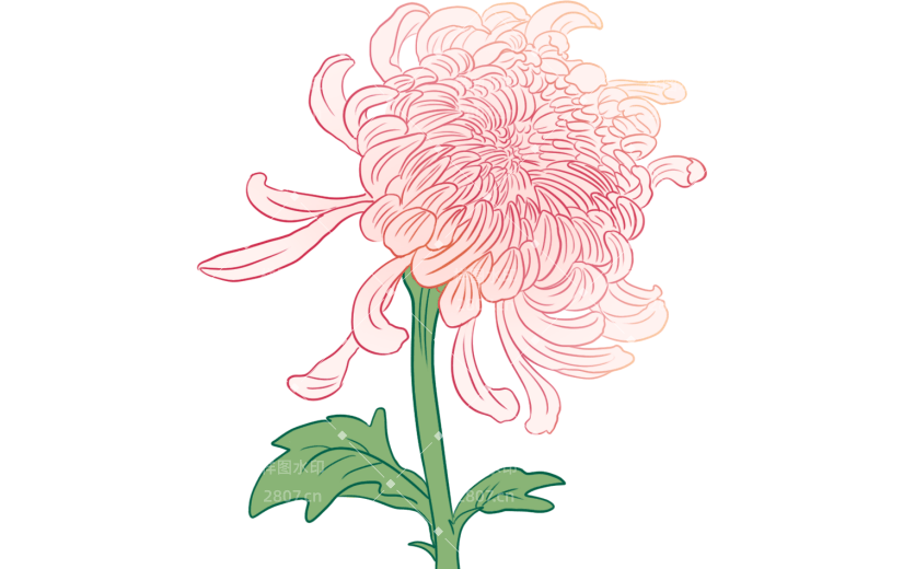 金边   节日    中秋节   国风    传统    喜庆    花卉   菊花