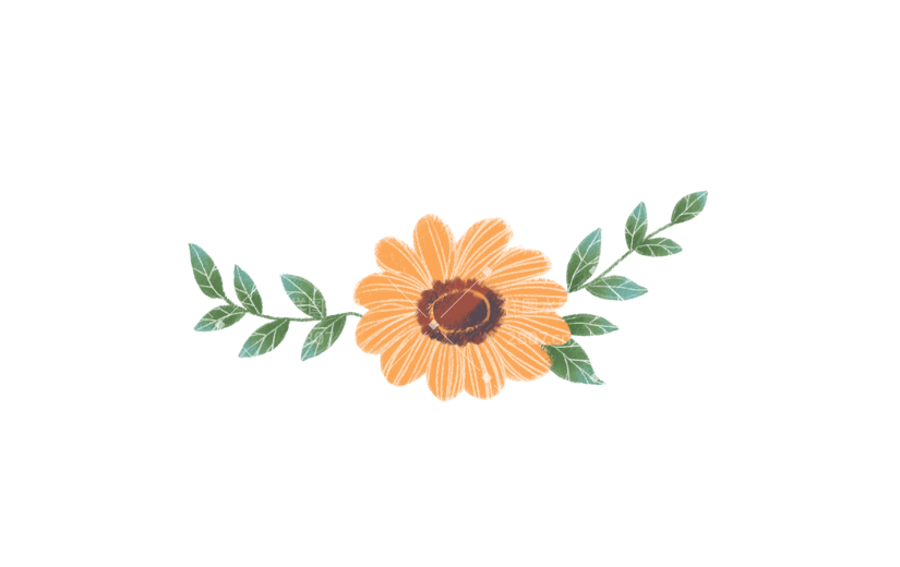 元素简约风花边标签元素插画元素