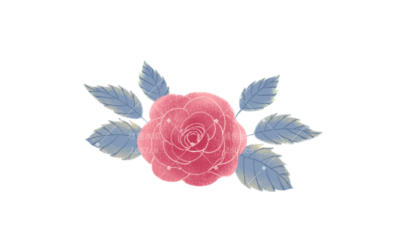元素手绘水彩玫瑰花卉卡通植物素材插画元素