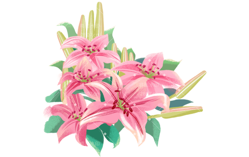 厚涂   花卉 节日  节气  季节   母亲节    妇女节    百合花