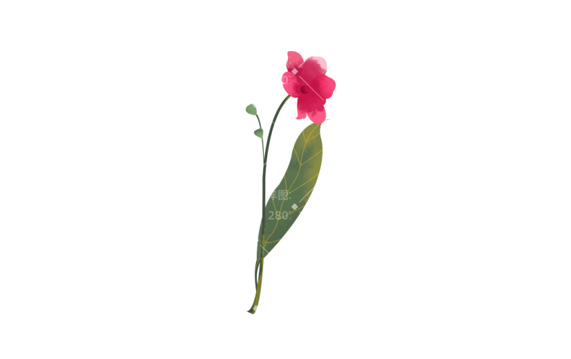元素手绘水彩花卉红色插画元素