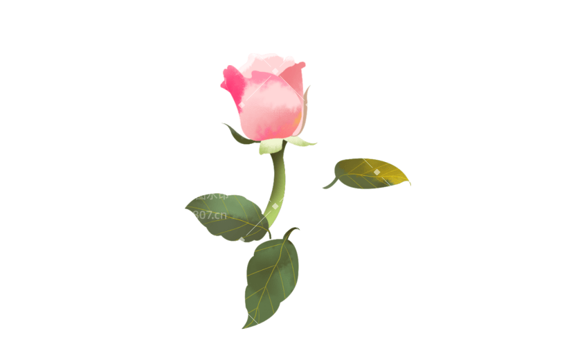 元素手绘水彩花卉插画元素粉色