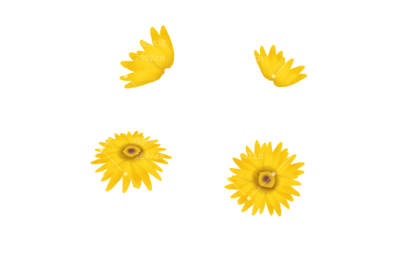 元素小黄花