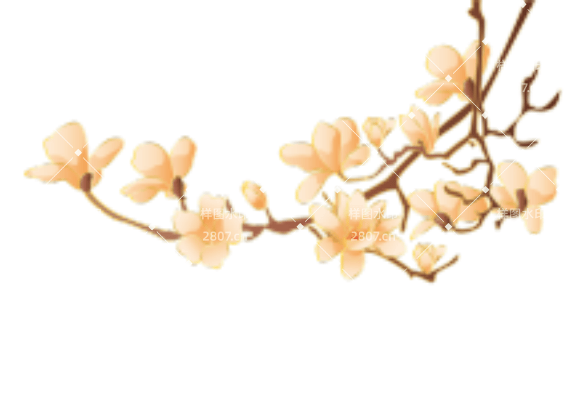 白色玉兰花矢量元素