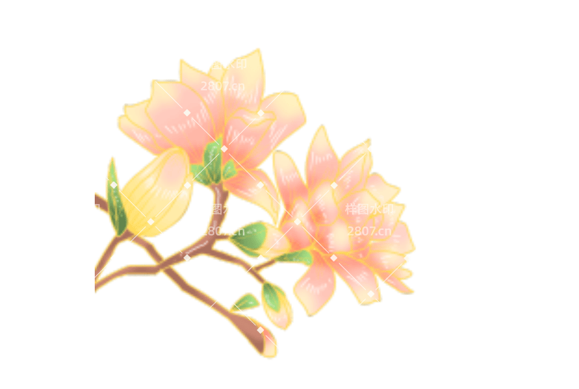 国风金边春天木兰花枝