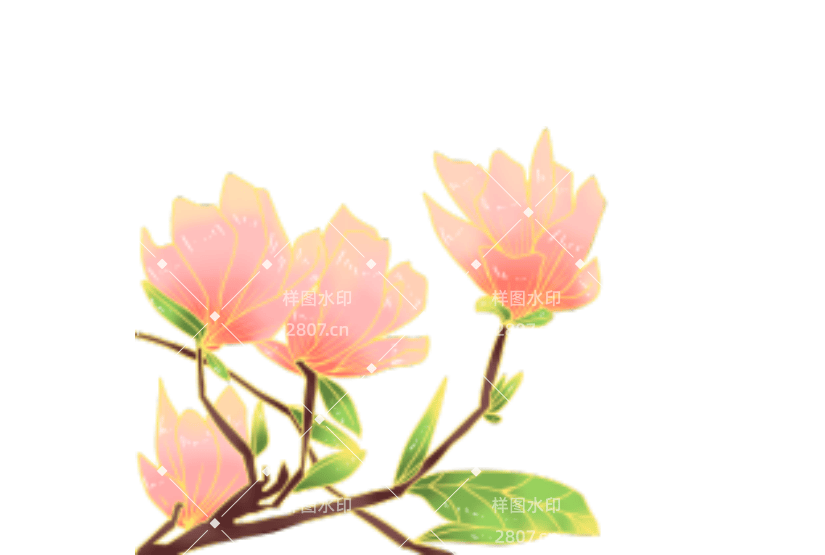 国风金边木兰花花枝