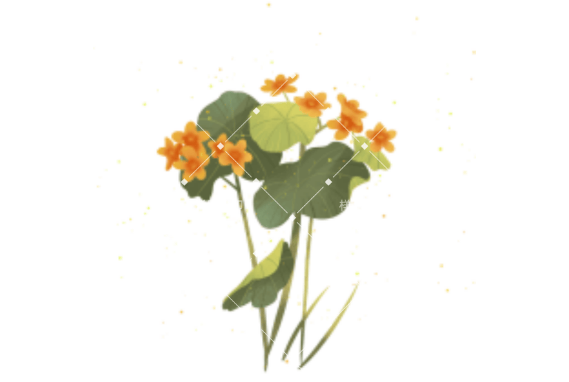 世界环境日花卉植物元素黄色
