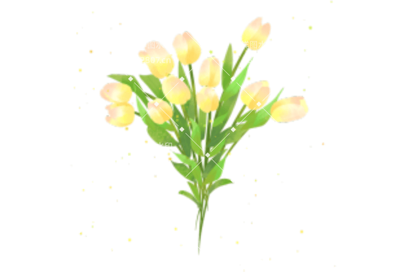 世界环境日花卉植物元素郁金香