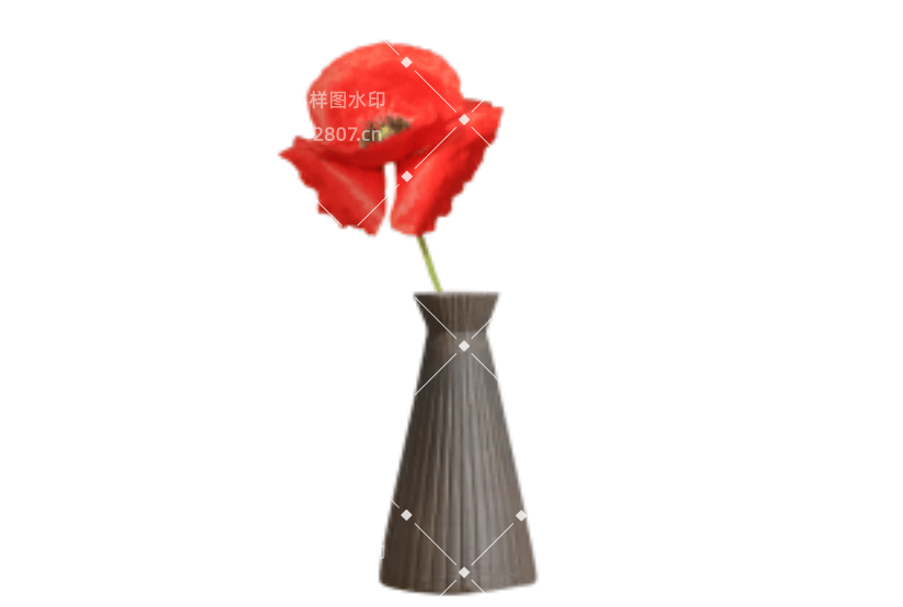 红色写实插花罂粟花元素