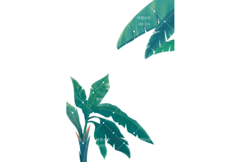 处暑芭蕉树插画元素