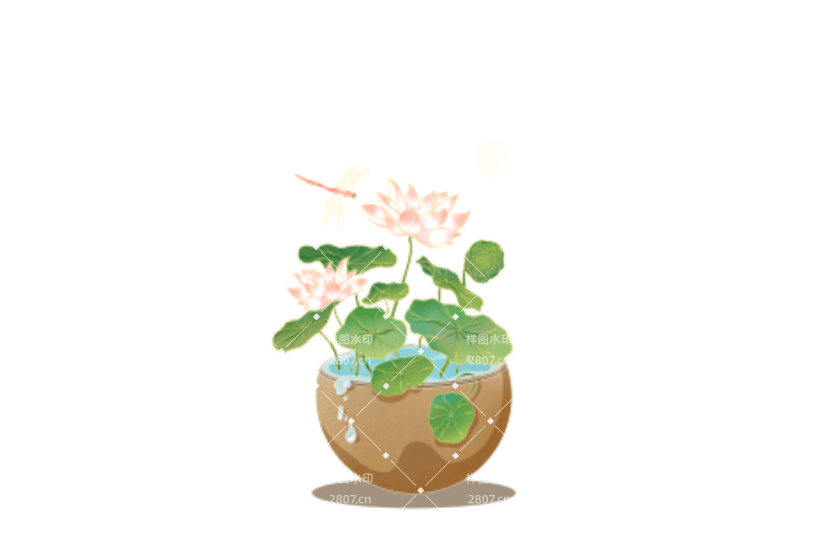 节气夏天元素处暑元素荷花插画荷叶